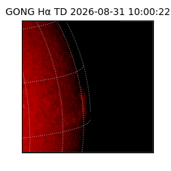 gong - 2026-08-31T10:00:22