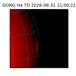 gong - 2026-08-31T11:00:22