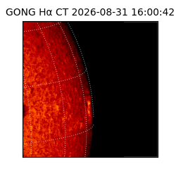 gong - 2026-08-31T16:00:42