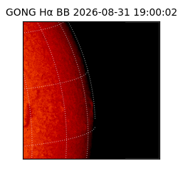 gong - 2026-08-31T19:00:02