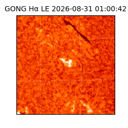 gong - 2026-08-31T01:00:42