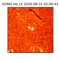 gong - 2026-08-31T02:00:42