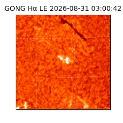 gong - 2026-08-31T03:00:42