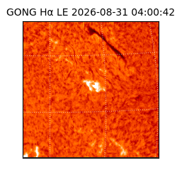 gong - 2026-08-31T04:00:42