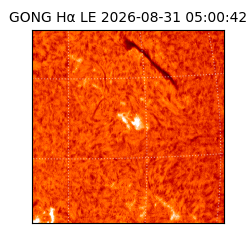 gong - 2026-08-31T05:00:42