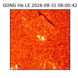 gong - 2026-08-31T06:00:42