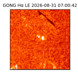gong - 2026-08-31T07:00:42