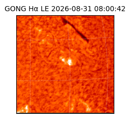 gong - 2026-08-31T08:00:42