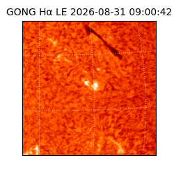 gong - 2026-08-31T09:00:42