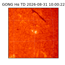 gong - 2026-08-31T10:00:22