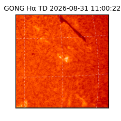 gong - 2026-08-31T11:00:22