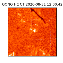 gong - 2026-08-31T12:00:42