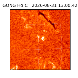 gong - 2026-08-31T13:00:42