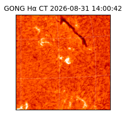 gong - 2026-08-31T14:00:42