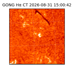 gong - 2026-08-31T15:00:42
