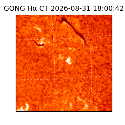 gong - 2026-08-31T18:00:42