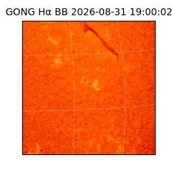 gong - 2026-08-31T19:00:02