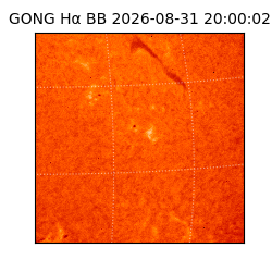gong - 2026-08-31T20:00:02