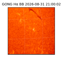 gong - 2026-08-31T21:00:02