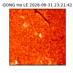 gong - 2026-08-31T23:21:42