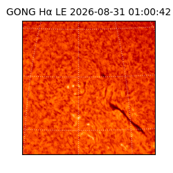 gong - 2026-08-31T01:00:42