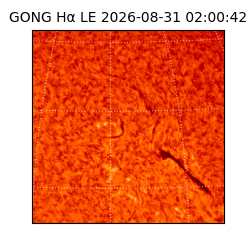 gong - 2026-08-31T02:00:42