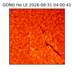 gong - 2026-08-31T04:00:42