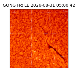 gong - 2026-08-31T05:00:42