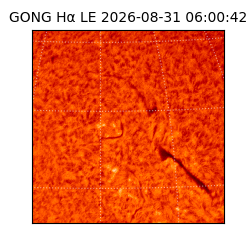 gong - 2026-08-31T06:00:42