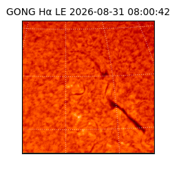 gong - 2026-08-31T08:00:42