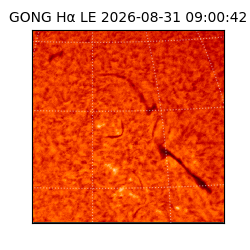 gong - 2026-08-31T09:00:42