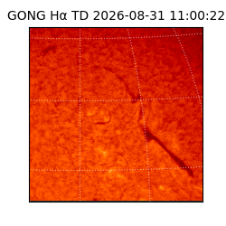 gong - 2026-08-31T11:00:22