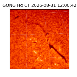 gong - 2026-08-31T12:00:42