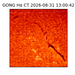 gong - 2026-08-31T13:00:42