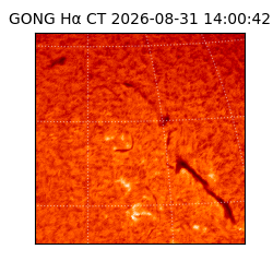 gong - 2026-08-31T14:00:42