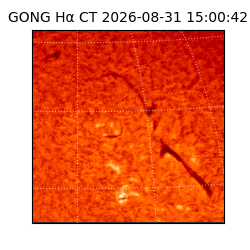 gong - 2026-08-31T15:00:42