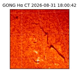 gong - 2026-08-31T18:00:42