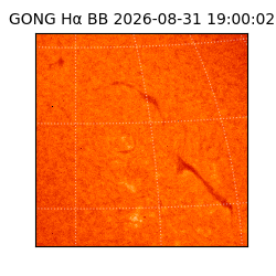 gong - 2026-08-31T19:00:02