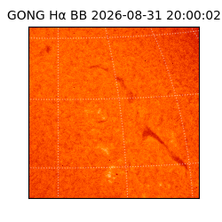 gong - 2026-08-31T20:00:02