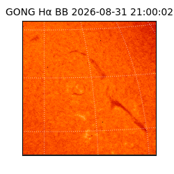 gong - 2026-08-31T21:00:02