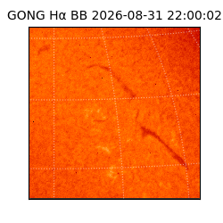gong - 2026-08-31T22:00:02