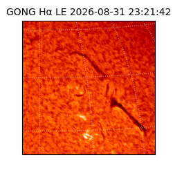 gong - 2026-08-31T23:21:42