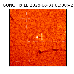 gong - 2026-08-31T01:00:42