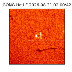 gong - 2026-08-31T02:00:42