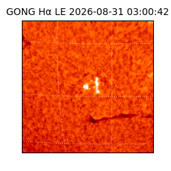 gong - 2026-08-31T03:00:42