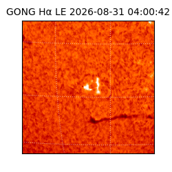 gong - 2026-08-31T04:00:42
