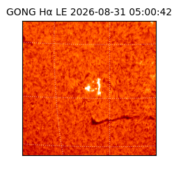 gong - 2026-08-31T05:00:42