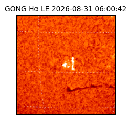 gong - 2026-08-31T06:00:42