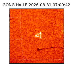 gong - 2026-08-31T07:00:42