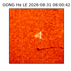 gong - 2026-08-31T08:00:42
